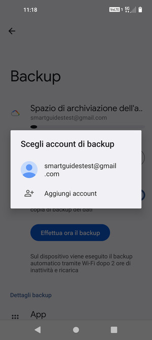 Seleziona il tuo account di backup