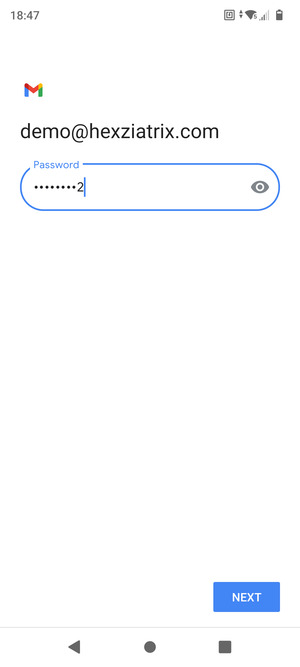 Enter your password and select NEXT