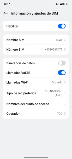 Seleccione Tipo de red preferido