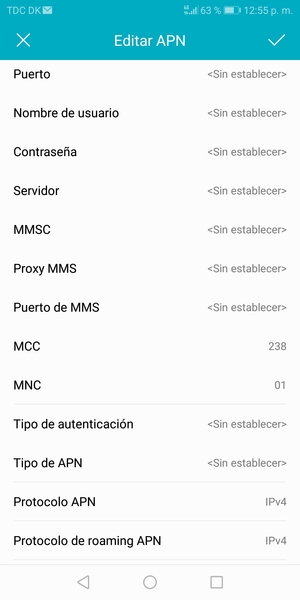 Desplácese hacia abajo e introduzca la información de Internet