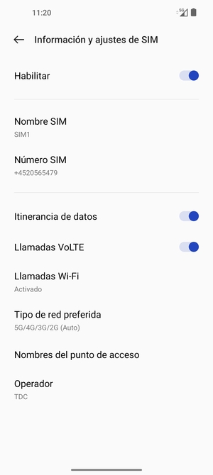 Activar o desactivar Itinerancia de datos