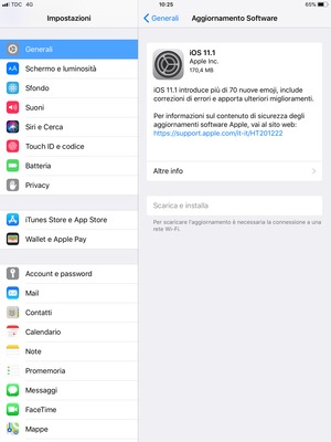 Se il tuo iPad non è aggiornato, seleziona Scarica e installa