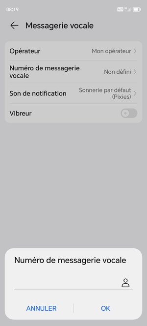 Saisissez le Numéro de messagerie vocale et sélectionnez OK
