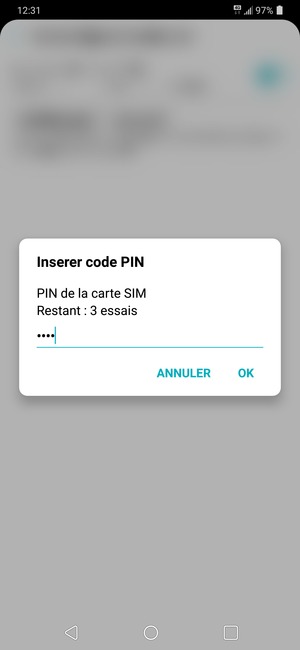 Saisissez votre Ancien code PIN de la carte SIM et sélectionnez OK