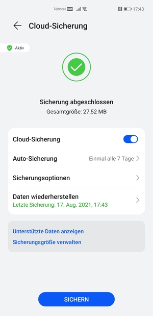 Eine Sicherheitskopie wird nun erstellt
