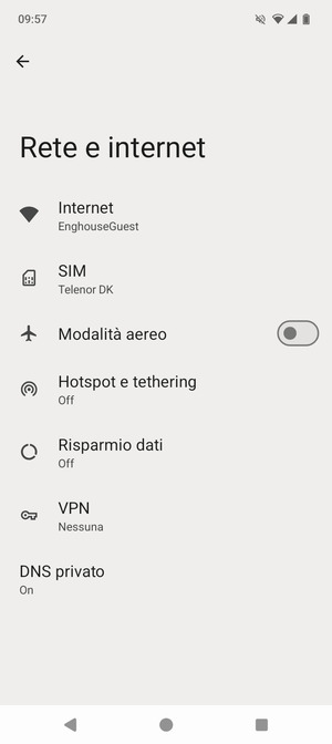 Seleziona SIM