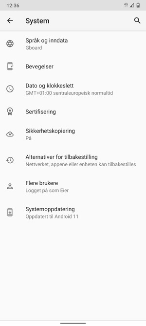 Velg Systemoppdatering