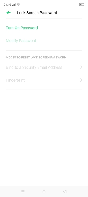 Select Turn On Password