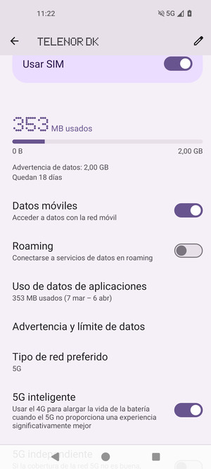 Desplácese y seleccione Tipo de red preferido