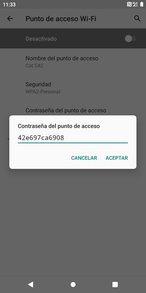 Introduzca una contraseña de punto de acceso Wi-Fi de al menos 8 caracteres y seleccione ACEPTAR