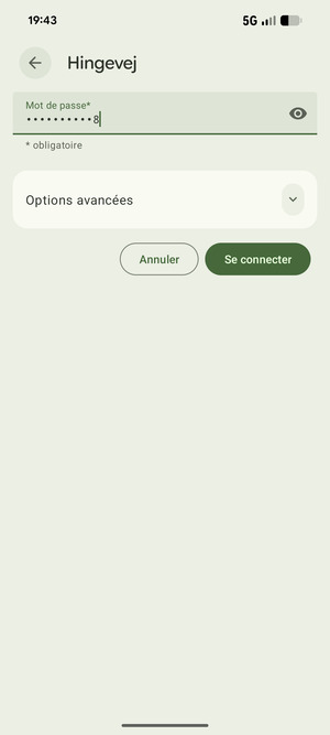 Saisissez le mot de passe du Wi-Fi et sélectionnez Se connecter