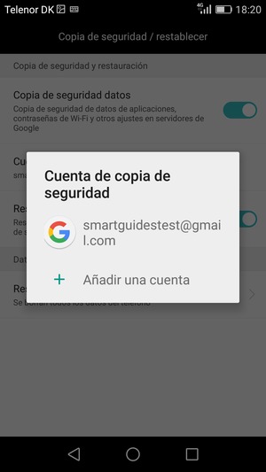 Seleccione su cuenta de copia de seguridad