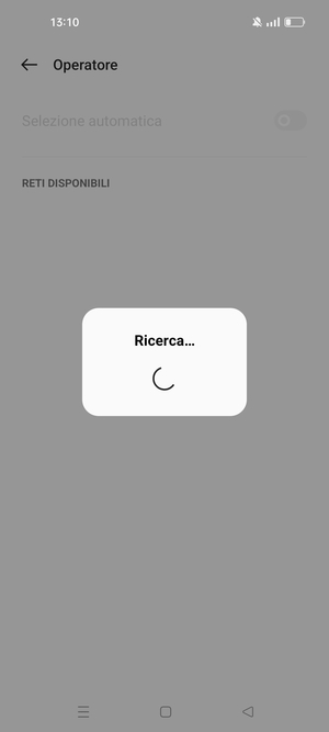 Attendi il completamento della ricerca
