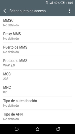 Desplácese hacia abajo e introduzca la información MMS