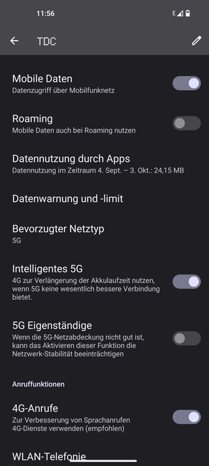 Scrollen Sie und wählen Sie Bevorzugter Netztyp