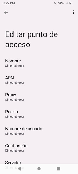 Introduzca la información de Internet