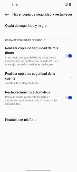Seleccione Realizar copia de seguridad de la cuenta