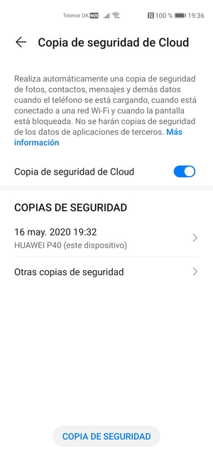 Una copia de seguridad ha sido creada