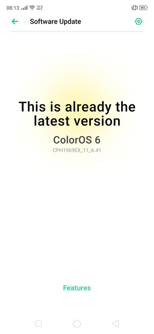 If your phone is up to date, you will see the following screen