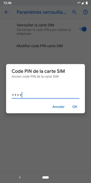 Saisissez votre Ancien code PIN de la carte SIM et sélectionnez OK