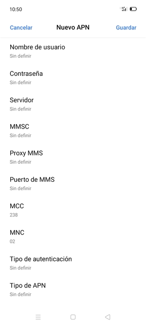 Desplácese hacia abajo e introduzca la información de Internet