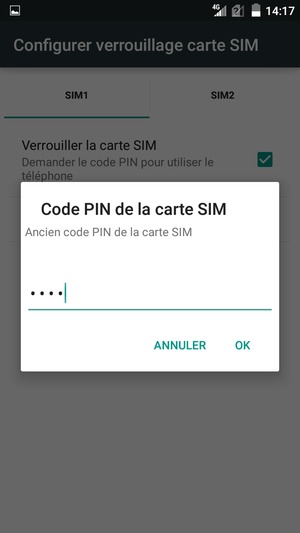 Saisissez votre Ancien code PIN de la carte SIM et sélectionnez OK