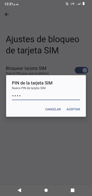 Introduzca su Nuevo PIN de tarjeta SIM y seleccione ACEPTAR