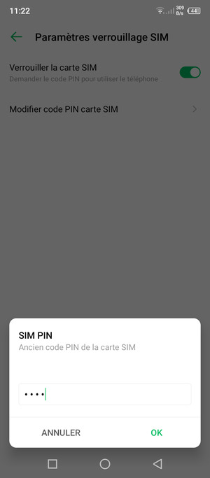 Saisissez votre Ancien code PIN de la carte SIM et sélectionnez OK