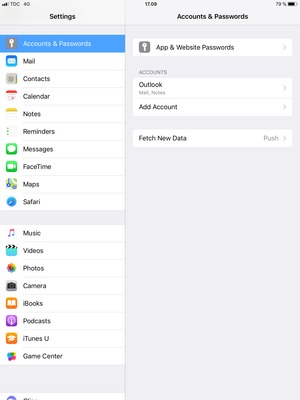 Scroll to and select Accounts & Passwords and select Fetch New Data