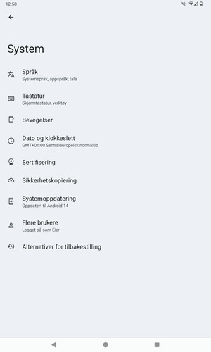 Velg Systemoppdatering