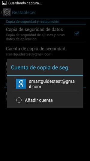 Seleccione su cuenta de copia de seguridad