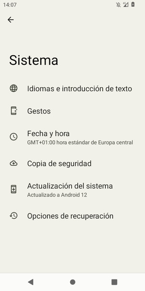 Seleccione Copia de seguridad