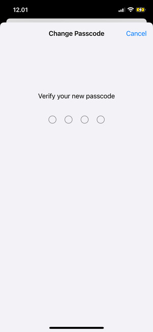 Re-enter your new passcode