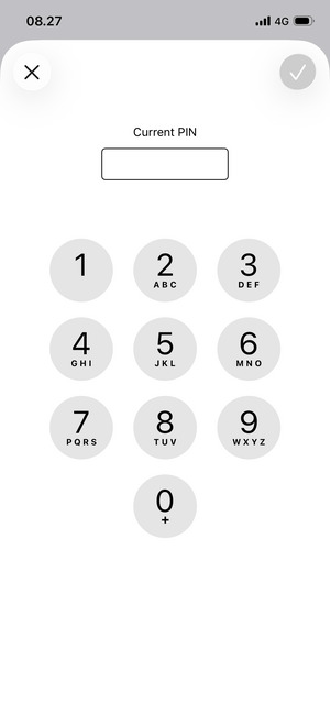 Enter your Current PIN and select OK