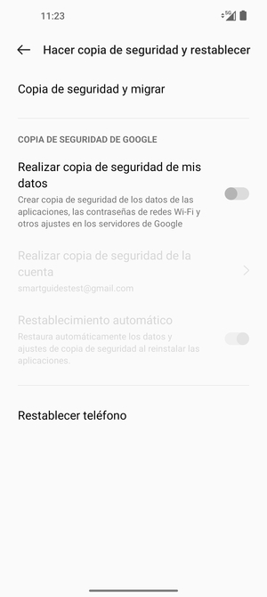 Active Realizar copia de seguridad de mis datos