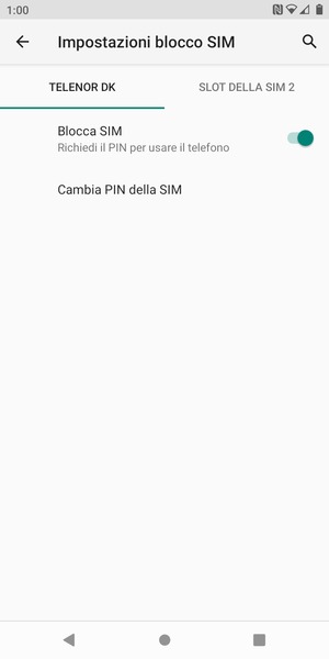 Seleziona Public e Cambia PIN della SIM