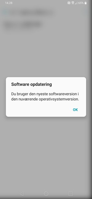 Hvis din telefon er opdateret, vælg OK