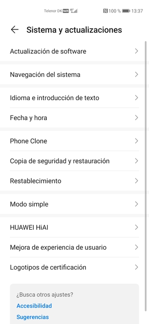 Seleccione Actualización de software
