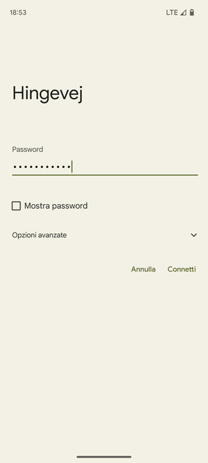 Inserisci la password del Wi-Fi e seleziona Connetti