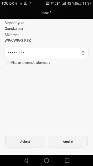 Ange lösenord till Wi-Fi och välj Anslut