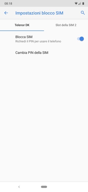 Seleziona Public e Cambia PIN della SIM