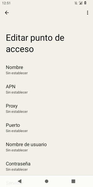 Introduzca la información de Internet