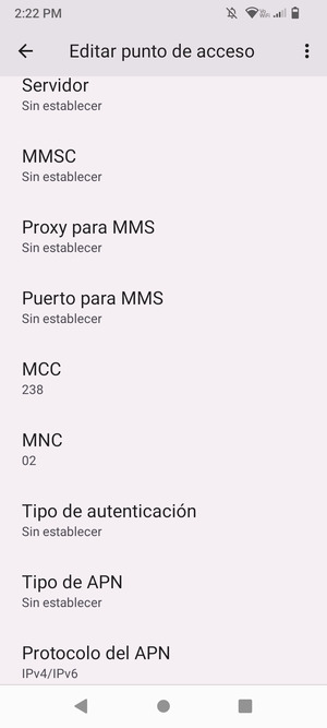 Desplácese hacia abajo e introduzca la información de Internet