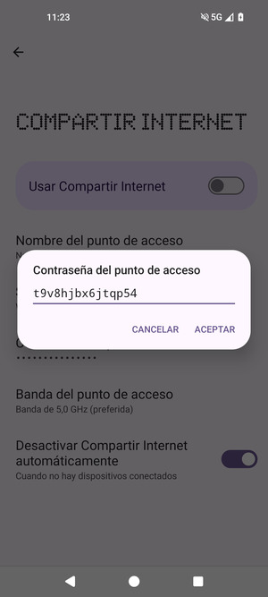 Introduzca una contraseña de punto de acceso Wi-Fi de al menos 8 caracteres y seleccione ACEPTAR