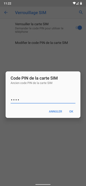 Saisissez Ancien code PIN de la carte SIM et sélectionnez OK