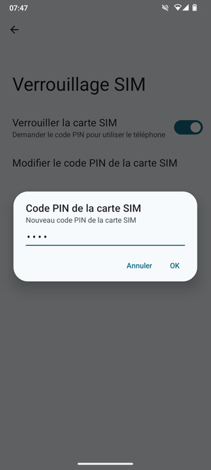 Saisissez votre Nouveau code PIN de la carte SIM et sélectionnez OK