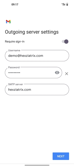 Enter Outgoing server address and select NEXT