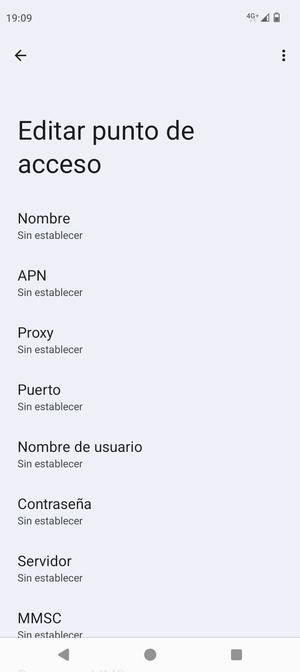 Introduzca la información de MMS