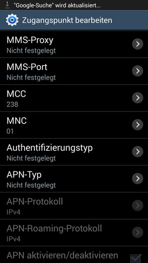Scrollen Sie nach unten und geben Sie Ihre Internetinformationen ein