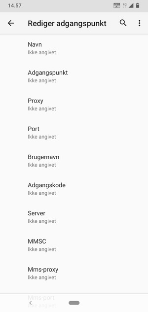 Indtast internet-oplysninger